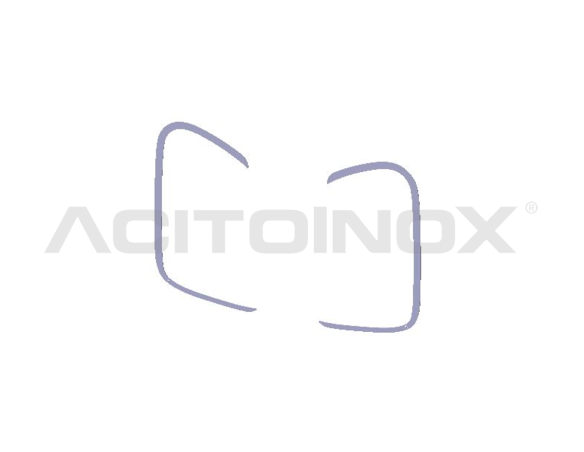 Coppia C Mascherino | Scania R, New R