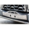 Habillage pour support de plaque | Renault Trucks T