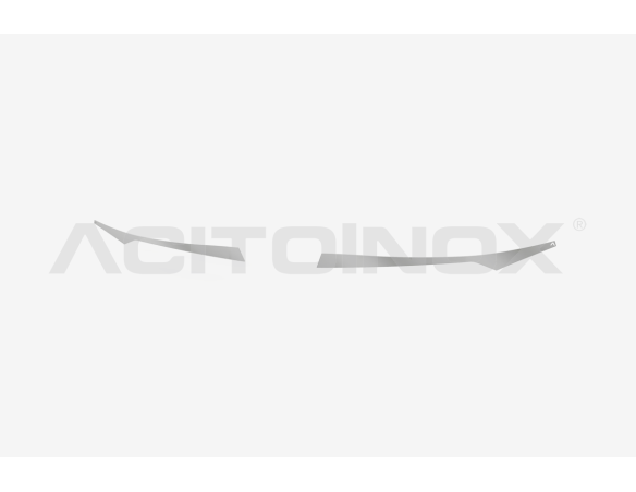 Windshield side applications | SCANIA NG SR