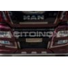 License plate|Man TGX Euro 6 2017