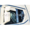 Window door application | Suitable for Scania NG - S/R series