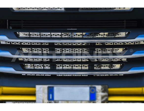Radiator grid | Man TGX Euro 6