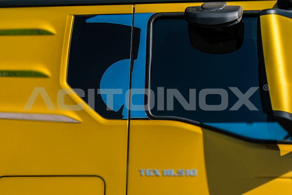 Door lining Lion | Man TGX Euro 6