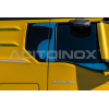 Door lining Lion | Man TGX Euro 6