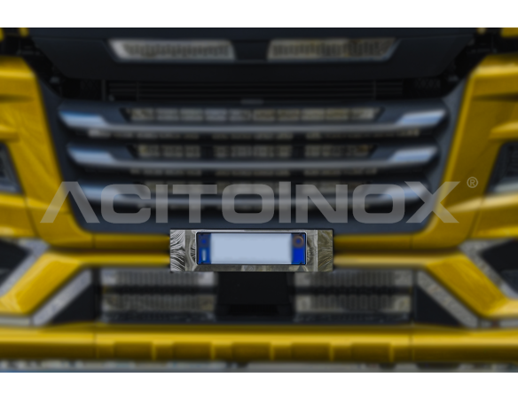 License plate holder application | Man TGX Euro 6