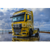 Domyna steel kit | Man TGX Euro 6