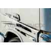 Profili laterali cabina | Volvo FH 2020