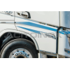 Applicazione freccia | Volvo FH 2020