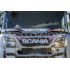 Protezione spazzole tergicristallo | Adatto per Scania NG S-R