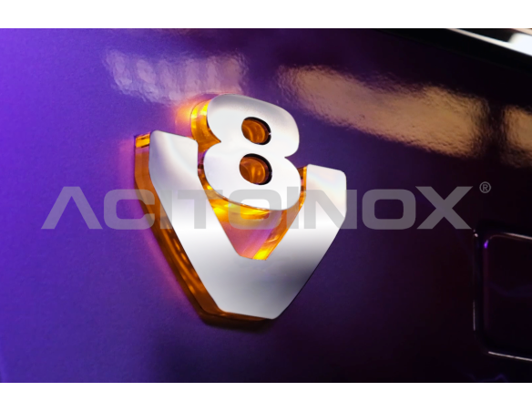 Scitta V8 retroilluminata |Adatto per Scania NG S