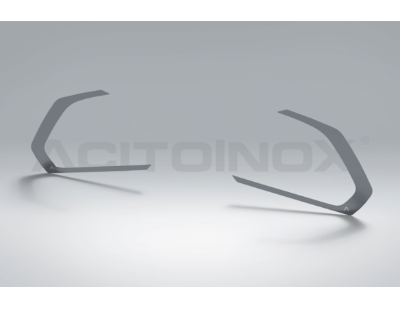 Applicazione contorno maniglia | DAF XG+