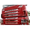 Mask application "Tiger" design  | Suitable for Scania R