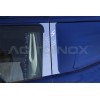 Applicazioni piantoni sportello "Illusion" | Adatto per Scania  L, R, New R, Streamline