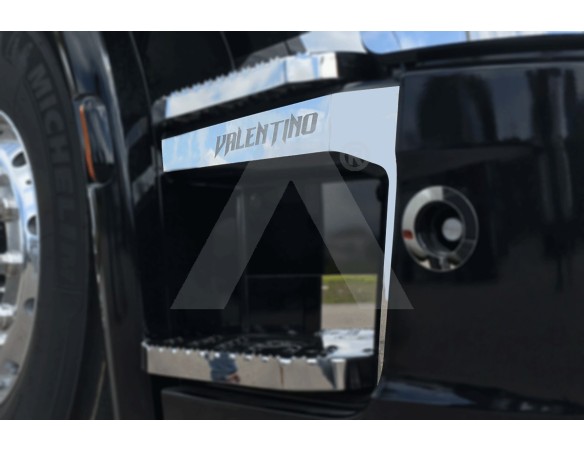 trittstufen umrandung scania sr ng